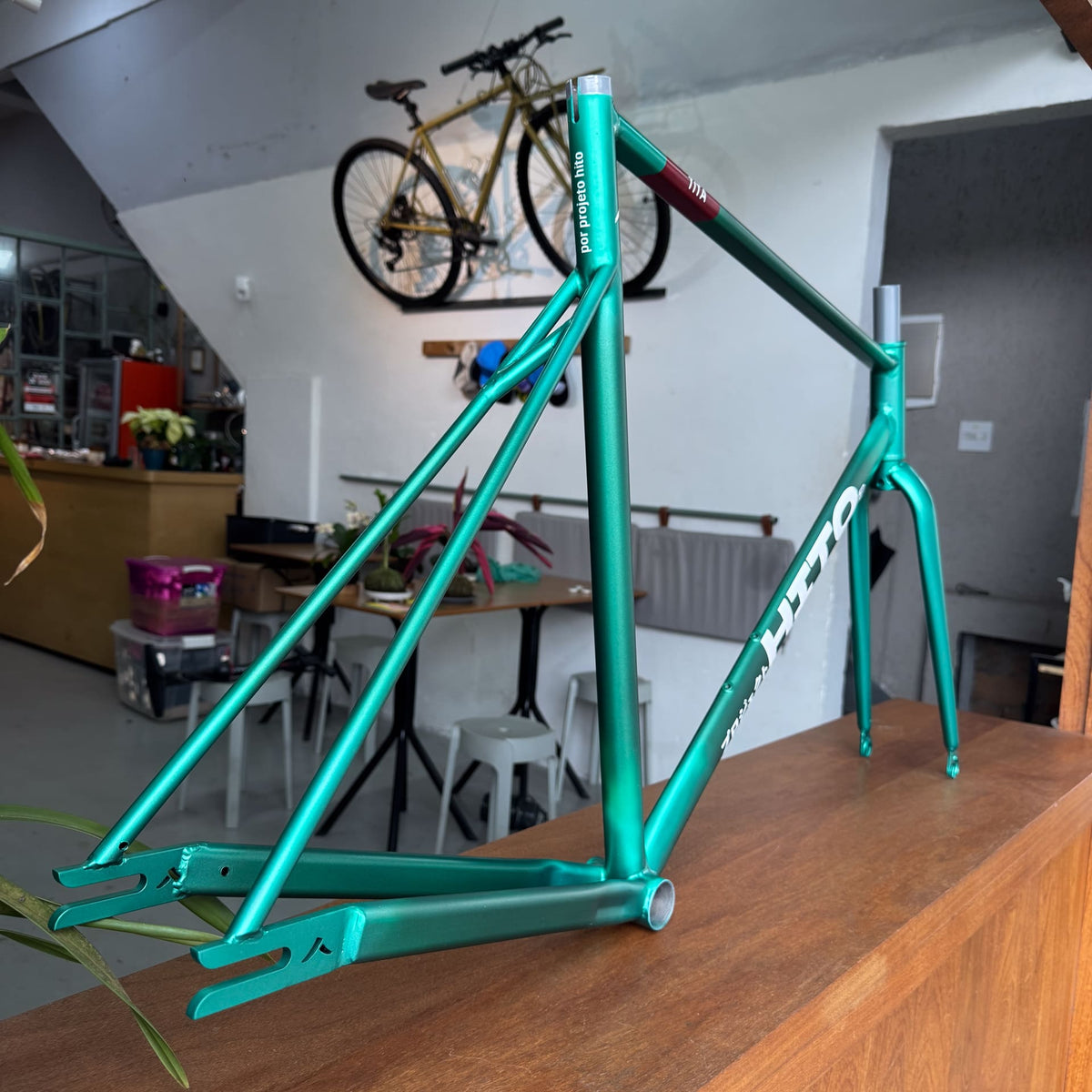 Frameset PISTA single/fixa