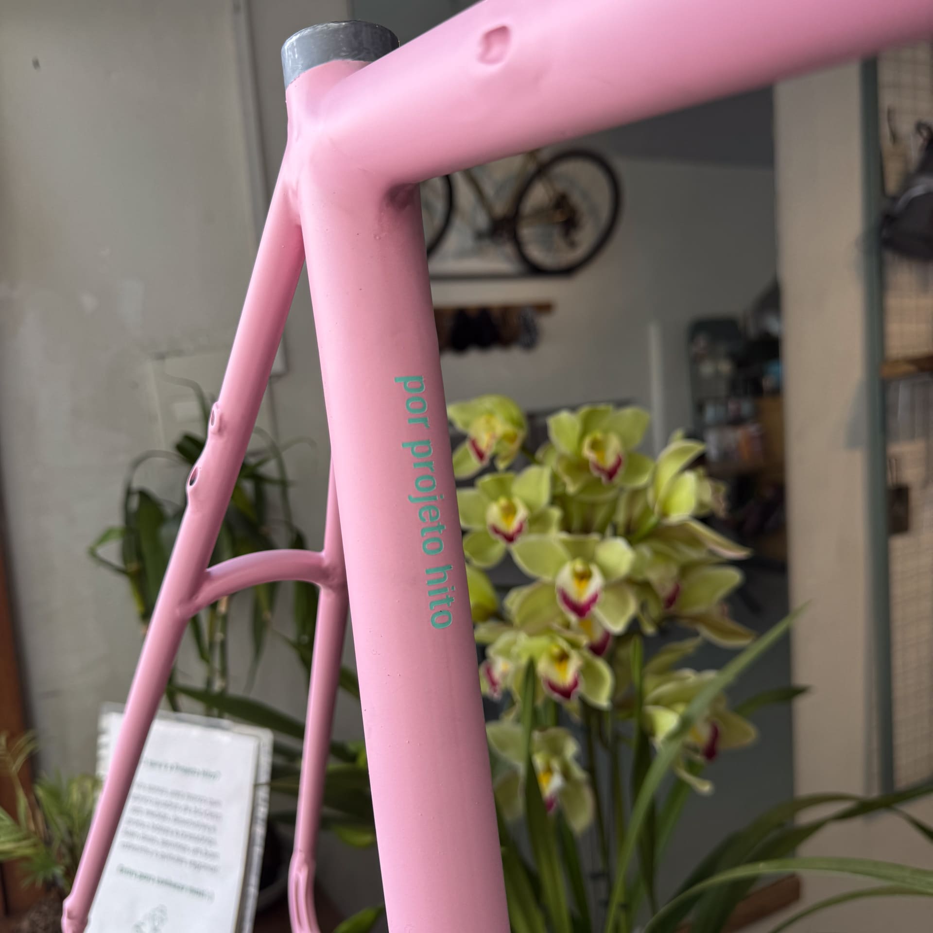Frameset TRIP cicloviagem/gravel sob medida