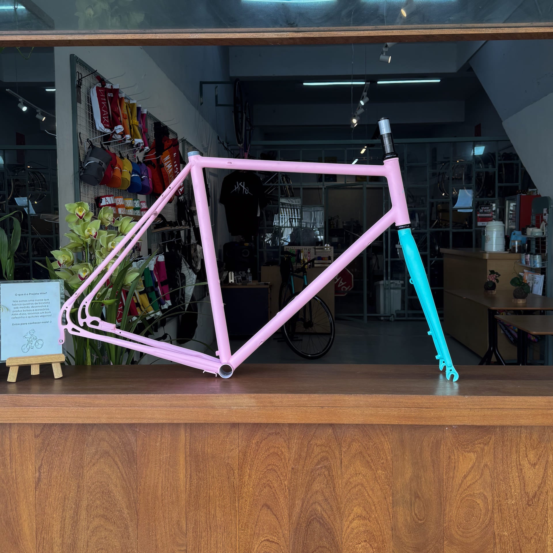 Frameset TRIP cicloviagem/gravel sob medida