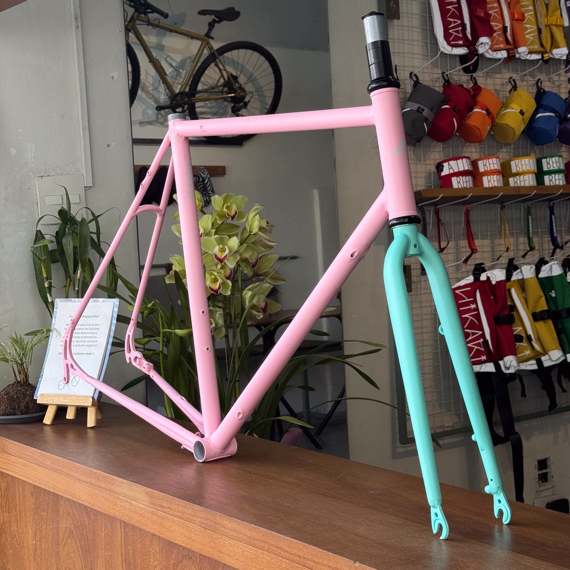 Frameset TRIP cicloviagem/gravel sob medida