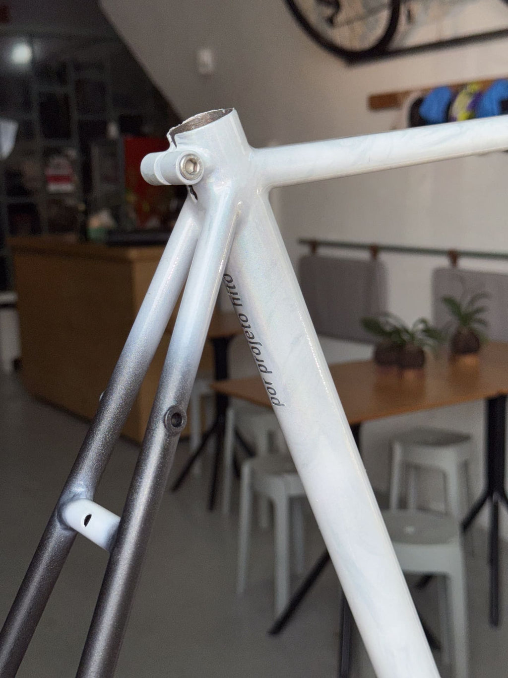 Frameset TRIP cicloviagem/gravel sob medida