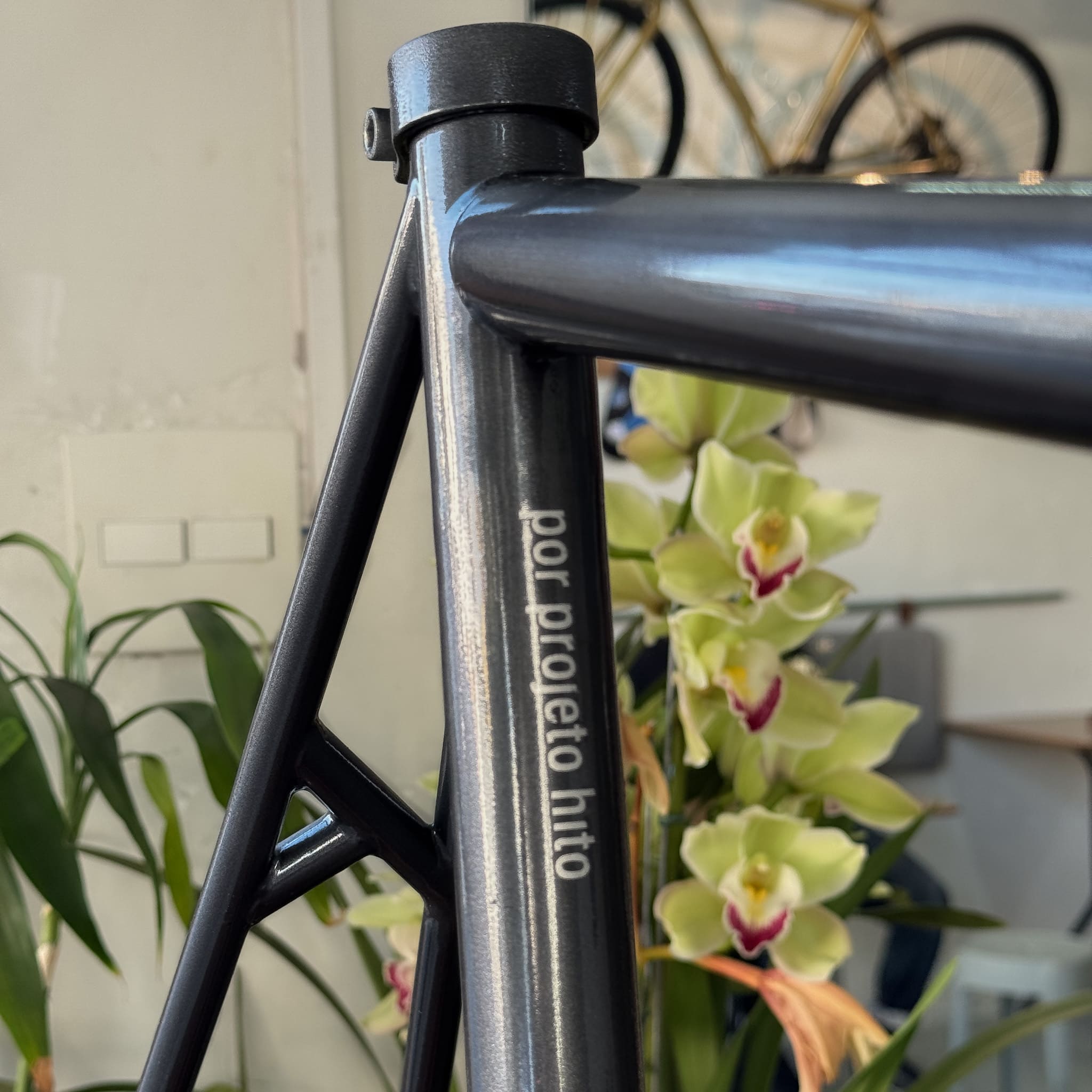 Frameset NAMASTRETA single/fixa